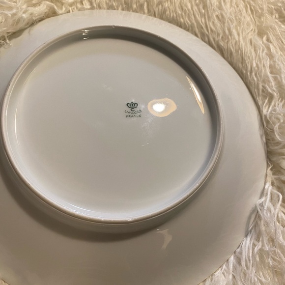 Vintage Princess Grace Kelly and Prince Rainier of Monaco Souvenir Plate Limoges - Picture 5 of 8